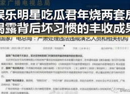 娱乐明星吃瓜君年烧两套房揭露背后坏习惯的丰收成果