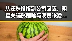 从还珠格格到公司回应，明星关晓彤鹿晗与演员张凌赫的反差人生