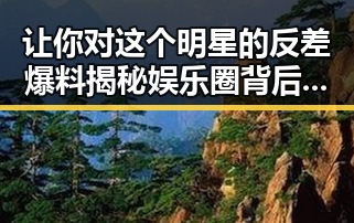 让你对这个明星的反差爆料揭秘娱乐圈背后流量密码的变化