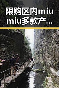限购区内miumiu多款产品有趣反差娱乐圈的真相揭秘